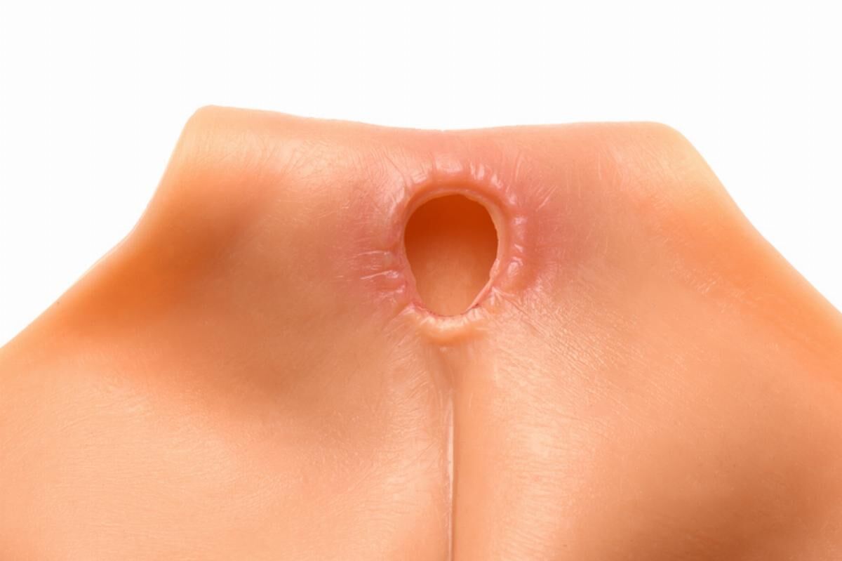 Накладна вагіна Master Series Silicone Vagina + Butt Panties - Small