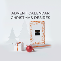 Календарь секс-сюрпризов Adrien Lastic Advent Calendar 2022 CHRISTMAS DESIRES