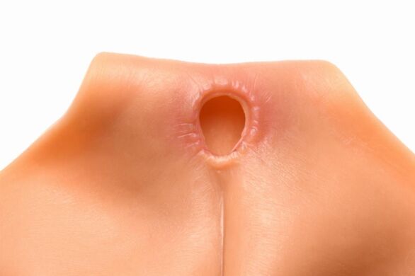 Накладна вагіна Master Series Silicone Vagina + Butt Panties - Large