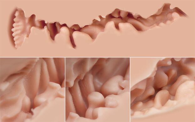 Мастурбатор Naked Factory TRISHA B TYPE, виражені статеві губи, вагіна + анус, дуже реалістичний