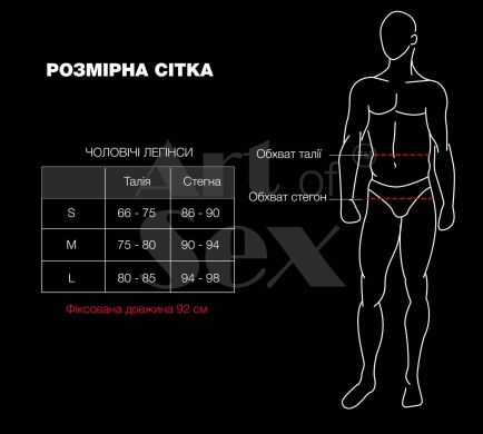 Мужские леггинсы Art of Sex - Matthias, цвет черный  с матовым эффектом, размер S, Черный
