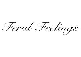 На склад поступила новая партия кожаных аксессуаров Feral Feelings (производство Украина)